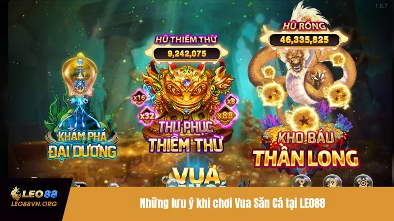 Những lưu ý khi chơi Vua Săn Cá tại LEO88