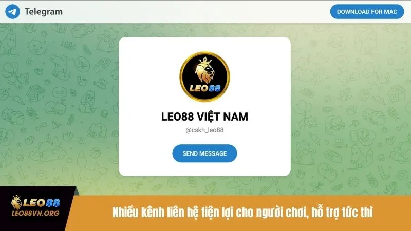Nhiều kênh liên hệ tiện lợi cho người chơi, hỗ trợ tức thì