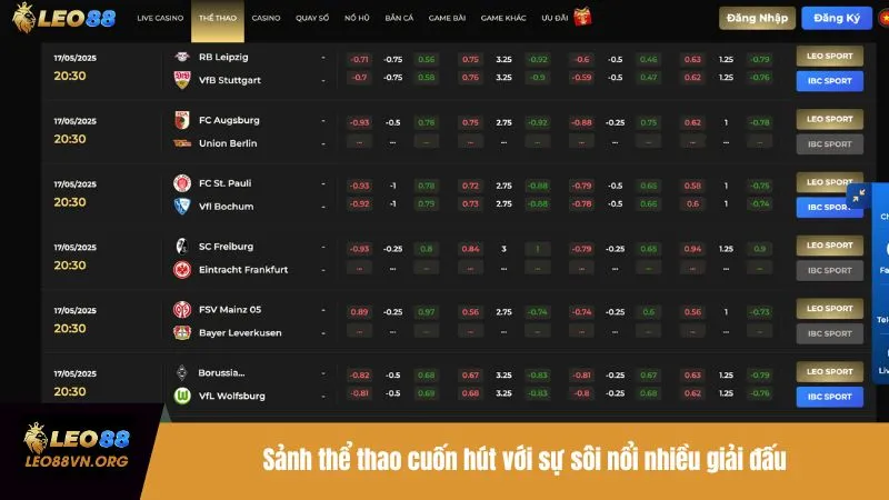 Sảnh thể thao cuốn hút với sự sôi nổi nhiều giải đấu